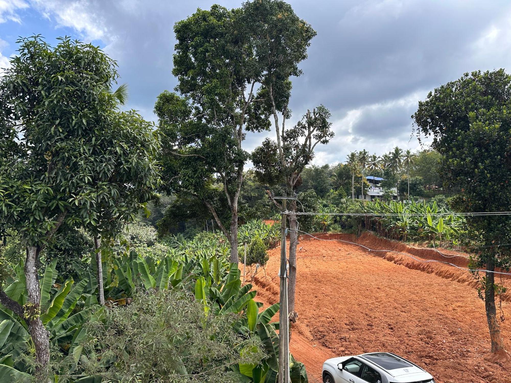 Kattil Farm Stay Varkala Thiruvananthapuram Kültér fotó
